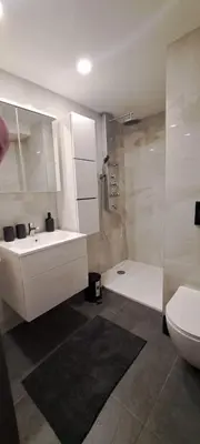 a bathroom with a sink and a shower and a toilet at Ljubljana Nest- centre, free parking- renovated August 2024 in Ljubljana