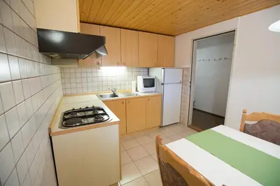 a small kitchen with a stove and a refrigerator at Apartments Petacova Hiša in Kranjska Gora