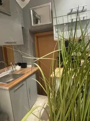 a bathroom with a sink and a potted plant at Studio Old Town in Maribor