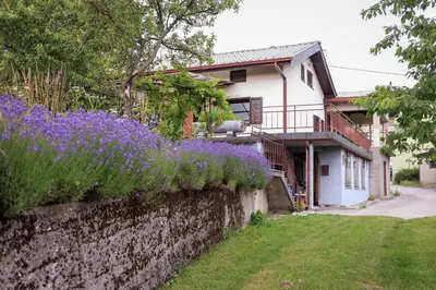 a house with purple flowers on a wall at Podgozd Holiday House in Trnovo