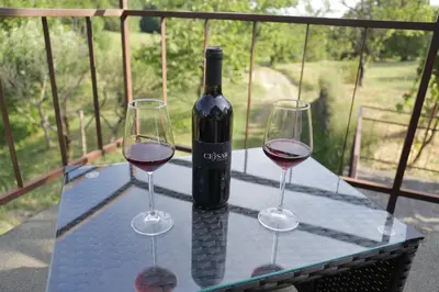 a bottle of wine and two glasses on a table at Podgozd Holiday House in Trnovo