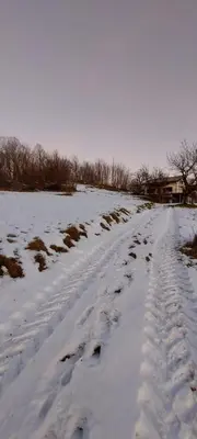 a snow covered road with footprints in a field at Podgozd Holiday House in Trnovo