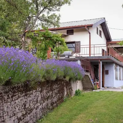 Podgozd Holiday House