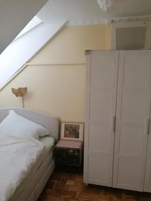a bedroom with a white bed and a skylight at Unique apartma in the city center in Ljubljana