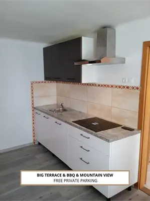 a kitchen with a sink and a counter top at Apartmaji Stara Šola in Bohinjska Bistrica