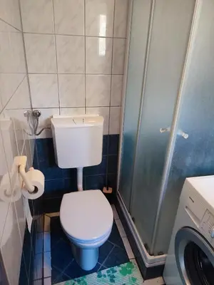 a small bathroom with a toilet and a shower at Apartmaji Stara Šola in Bohinjska Bistrica