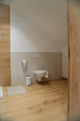 a bathroom with a toilet and a wooden floor at Sobe rooms JELEN JELENOV GREBEN in Podčetrtek