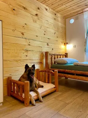 a dog sitting on a bed in a bedroom at The Wood Nest Apartment in Borovnica