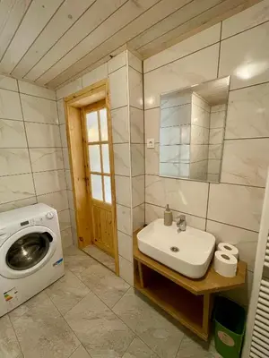 a bathroom with a washing machine and a sink at The Wood Nest Apartment in Borovnica