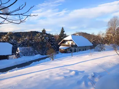 a house covered in snow in a yard at The Wood Nest Apartment in Borovnica