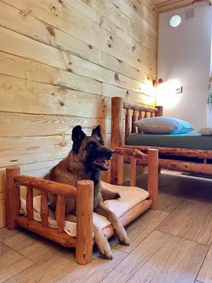 a dog sitting on a bed in a bedroom at The Wood Nest Apartment in Borovnica
