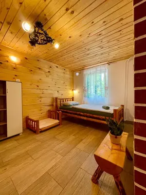 a large room with a bed and a window at The Wood Nest Apartment in Borovnica