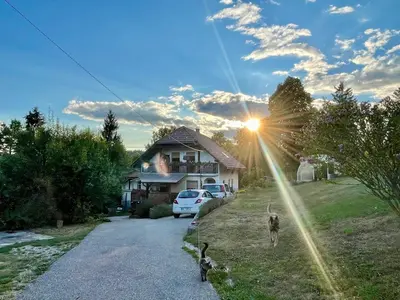 a house with two dogs standing in the driveway at The Wood Nest Apartment in Borovnica
