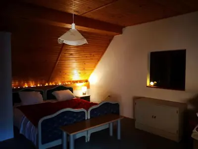 a bedroom with a bed and a table and a lamp at Ski Cottage in Semič