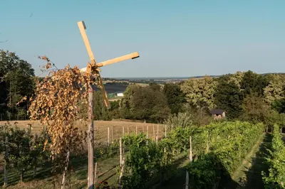 a windmill on a hill next to a vineyard at Wellness hiša Jelenov Grič in Mala Nedelja
