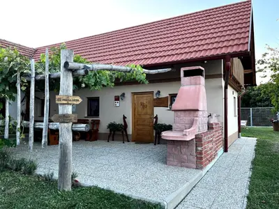 a house with a brick oven in the yard at Wellness hiša Jelenov Grič in Mala Nedelja