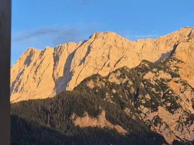 a large mountain with trees in front of it at Apartma Saša in Zgornje Jezersko