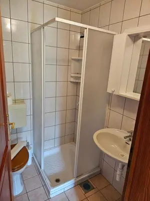 a bathroom with a shower and a toilet and a sink at Mežnarija - Cerovec in Dolenjske Toplice