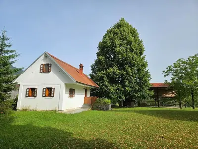 a white house in a yard with a tree at Mežnarija - Cerovec in Dolenjske Toplice