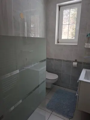 a bathroom with a shower and a toilet and a window at Mountain spring in Kranjska Gora