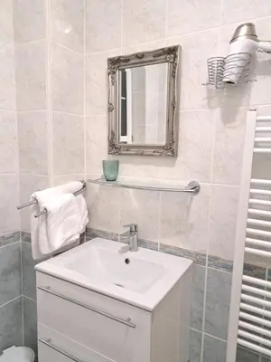 a bathroom with a white sink and a mirror at Mountain spring in Kranjska Gora