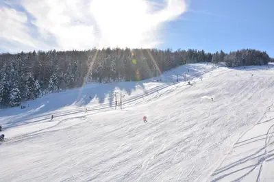 a group of people skiing down a snow covered slope at Apartment Bolfenk Pohorje - Forest nest in Pohorje