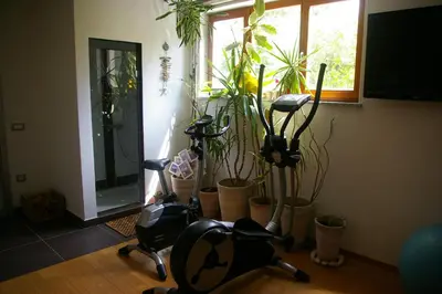 a room with exercise bikes and potted plants at Vila Katarina in Hrastenica