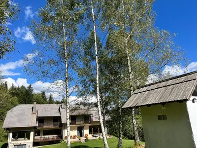 a house with trees in front of it at Gaj pod brezami in Luče
