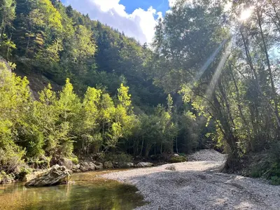 a river in the middle of a forest at Gaj pod brezami in Luče