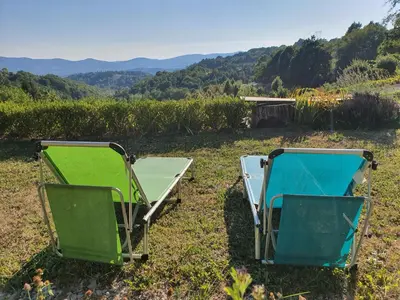 two beds sitting on the grass in a field at Apartma Tomažič in Hrušica