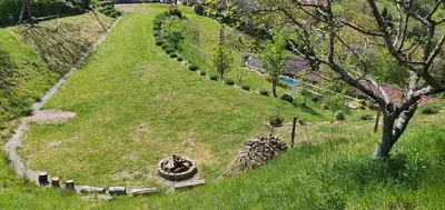 an overhead view of a grassy hill with a tree at Apartma Tomažič in Hrušica