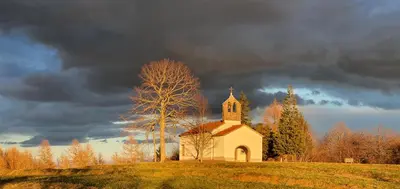 a church on top of a hill with a tree at Apartma Tomažič in Hrušica