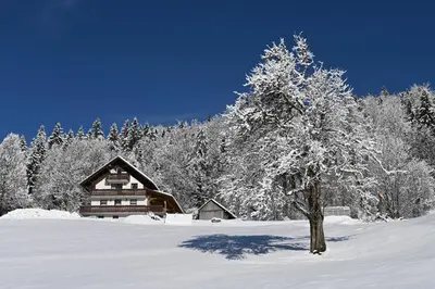 a tree in the snow next to a log cabin at Domačija Za robom in Cerkno