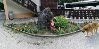 a dog walking in a garden with a statue at Domačija Za robom in Cerkno