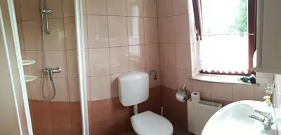 a bathroom with a toilet and a sink and a shower at Domačija Za robom in Cerkno