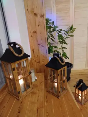 a group of lanterns with a plant in a room at Apartments Akacijev Izvir in Miklavž na Dravskem Polju