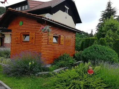 a small wooden house in a garden at Farm Stay Pr Lavric in Slivna