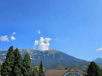 a view of a mountain with trees and a house at Green Hill Apartments in Žirovnica