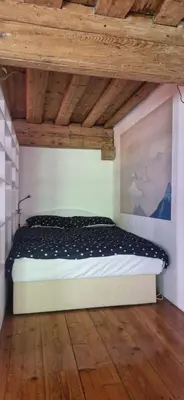 a bed in a room with a wooden ceiling at Magic Garden in the heart of Ljubljana in Ljubljana