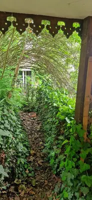 a tunnel of plants with a house in the background at Magic Garden in the heart of Ljubljana in Ljubljana