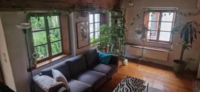a living room with a couch and two windows at Magic Garden in the heart of Ljubljana in Ljubljana