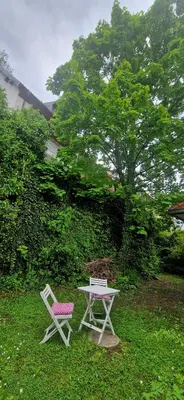 a table and a chair sitting next to a table and a bench at Magic Garden in the heart of Ljubljana in Ljubljana