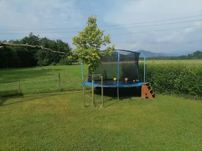a batting cage with a tree in a field at Hemp farm paradise near Bled and Ljubljana in Kranj