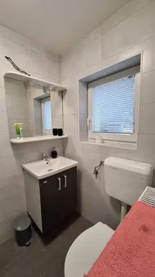 a bathroom with a toilet and a sink and a mirror at Wellness house ZoJa with outdoor sauna and hot tub in Boštanj