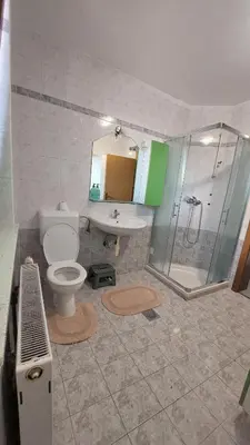 a bathroom with a shower and a toilet and a sink at Puci Apartment in Šmarje-Sap