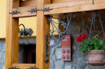 a window with a plant in a pot on a wall at Tourist Farm Ob izviru Krupe in Semič