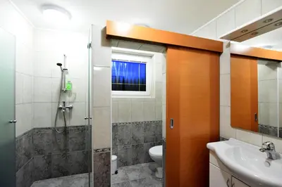 a bathroom with a shower and a toilet and a sink at Apartment Anja in Zreče