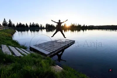 a person jumping off a dock into a lake at Apartment Anja in Zreče