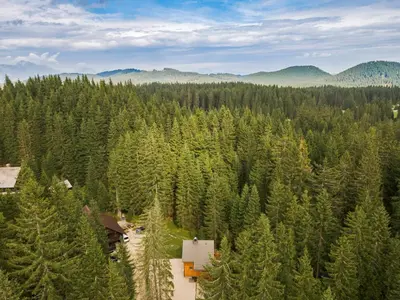 an aerial view of a forest of trees at Luxury Villa TINKA in Zgornje Gorje
