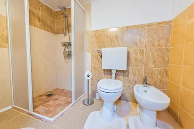 a bathroom with a toilet and a shower at Forest View Apartment - Sauna & Nature Escape in Slovenska Bistrica